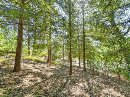 4630 Rosarno Pl, Foresthill, CA 95631 Photo