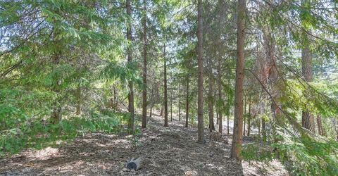 4630 Rosarno Pl, Foresthill, CA 95631 Photo