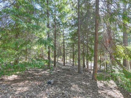 4630 Rosarno Pl, Foresthill, CA 95631 Photo