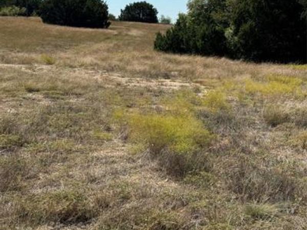 10042 Crestridge Drive, Whitney, TX 76692