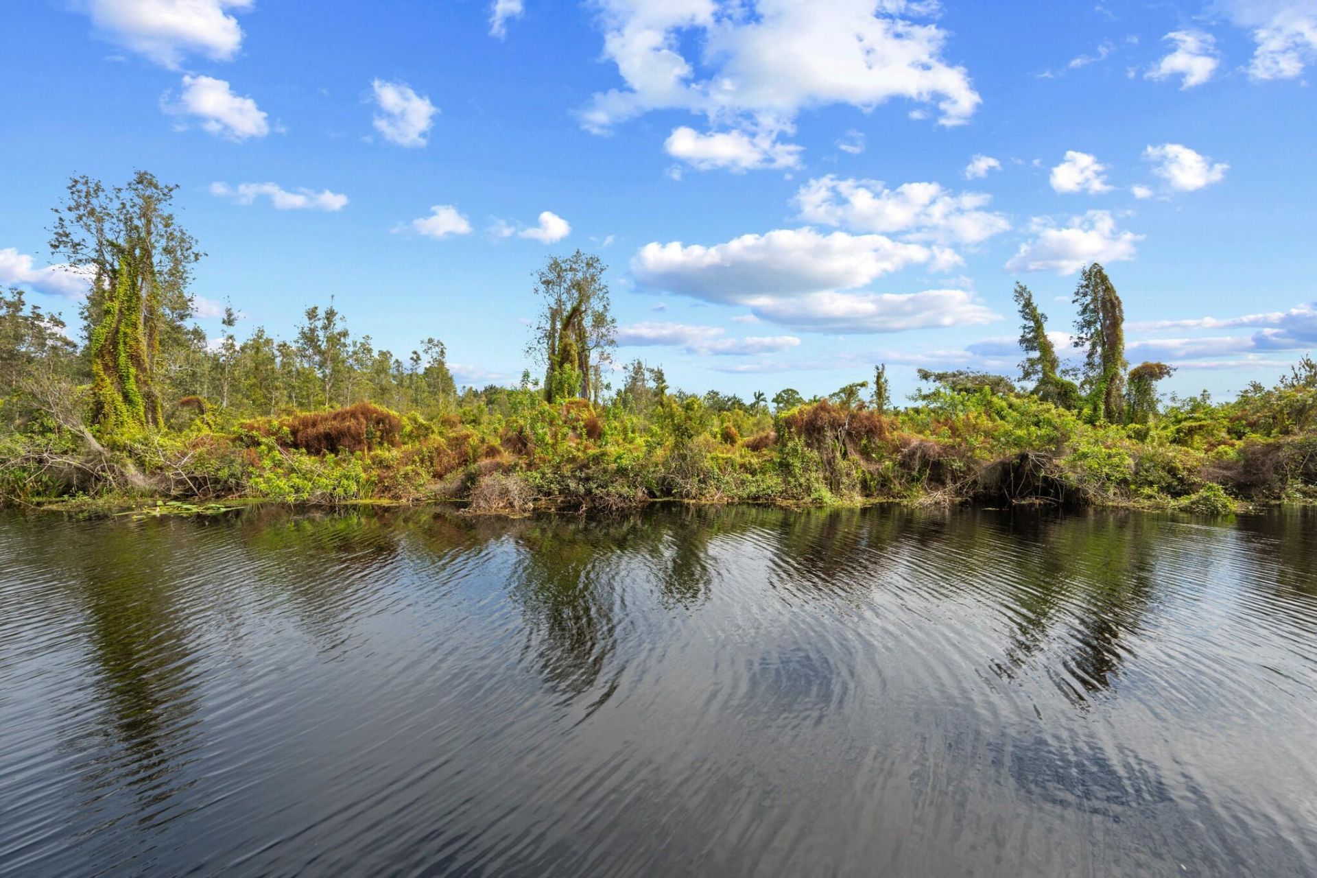 2005 SW Amarillo Lane, Palm City, FL 34990 Photo