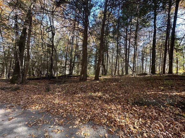 184 Dupre Drive, Guilford, VT 05301