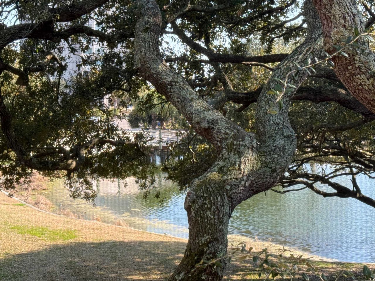 410 Melrose Pl. Photo 11