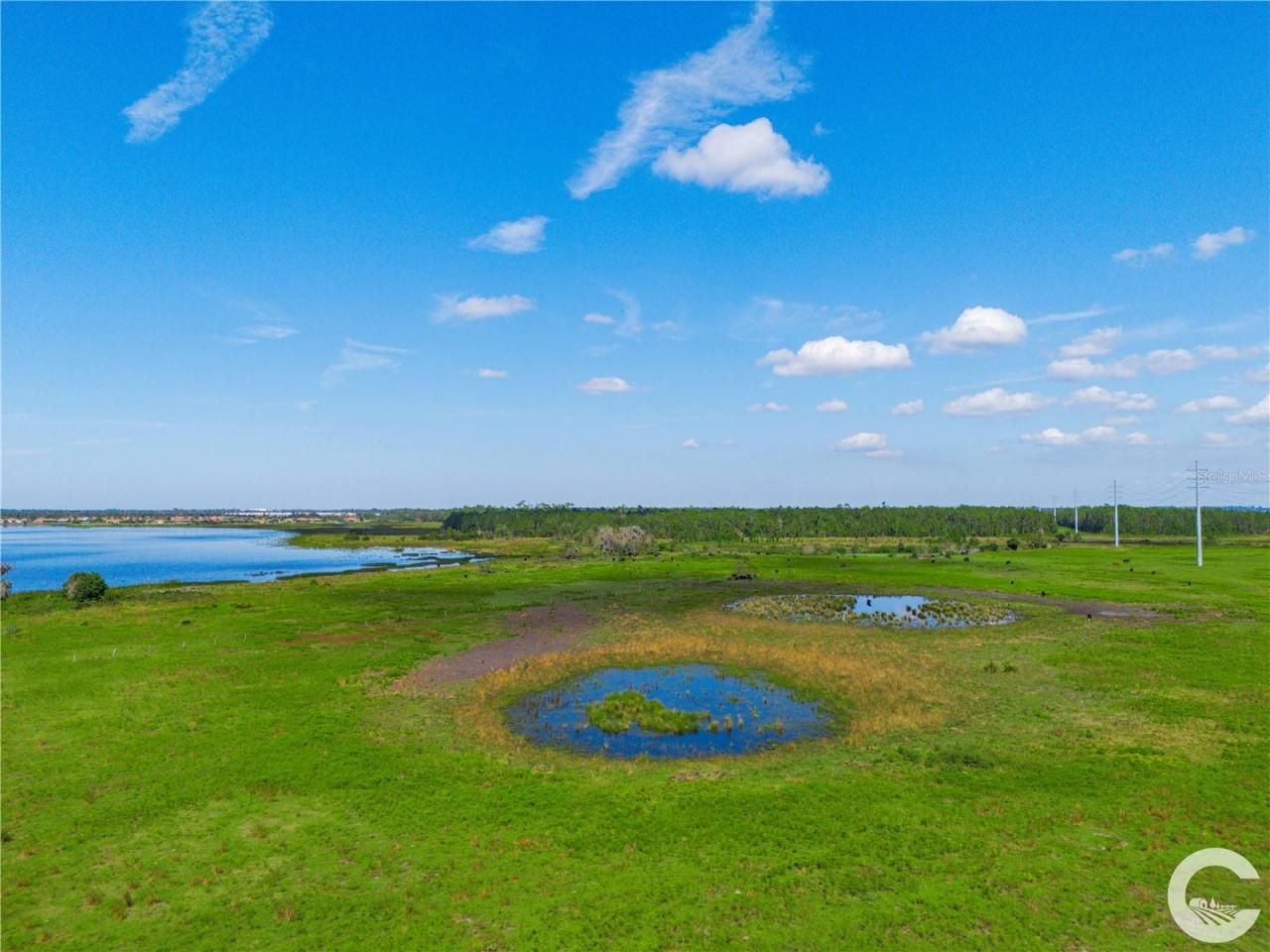 Mountain Lake Cuttoff, Lake Wales, FL 33859 Photo