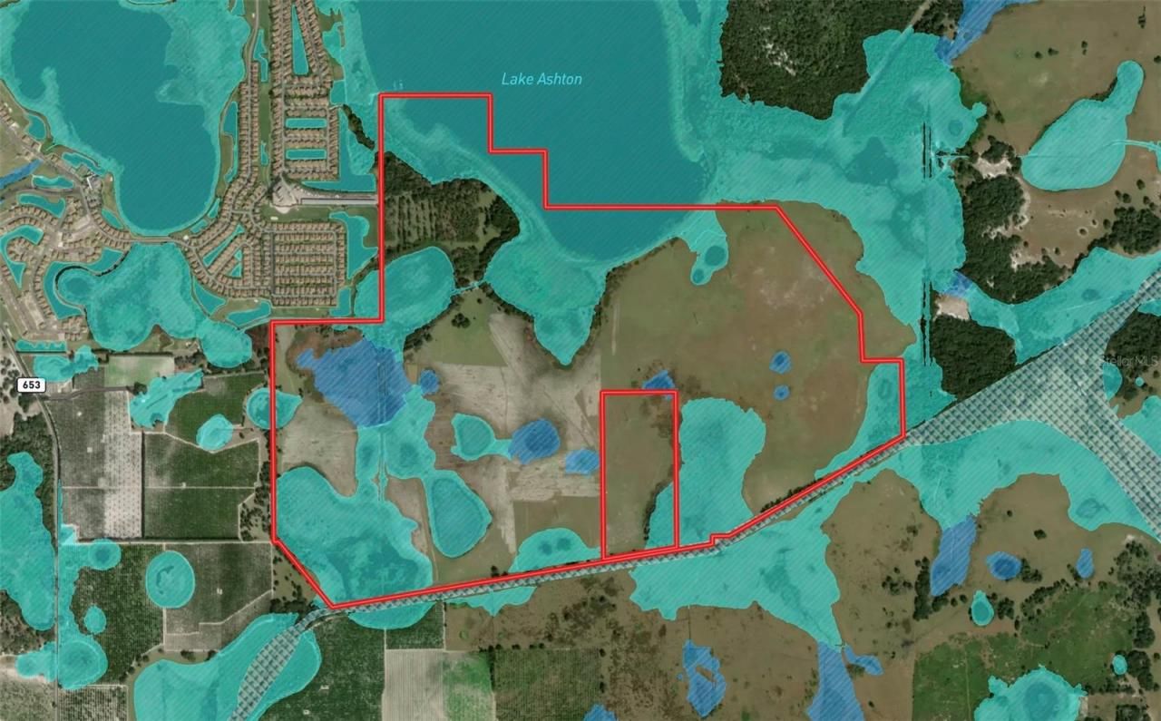 Mountain Lake Cuttoff, Lake Wales, FL 33859 Photo