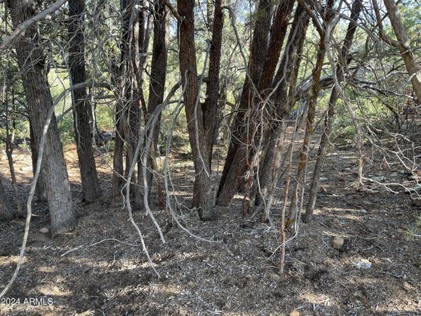 9 LODGEPOLE Circle, Unit 9, Pine, AZ 85544