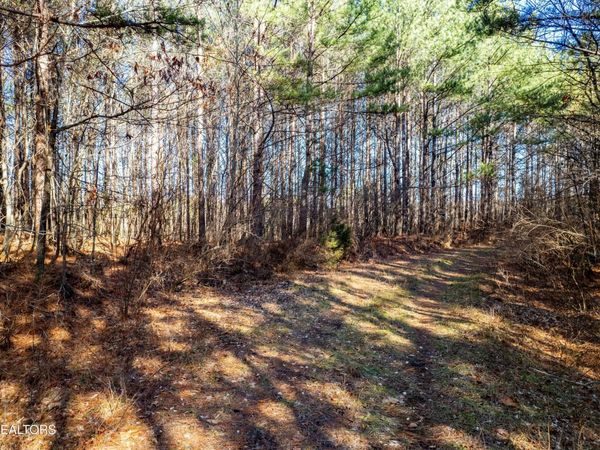 Lower Rockwood Rd Lot 16, Rockwood, TN 37854
