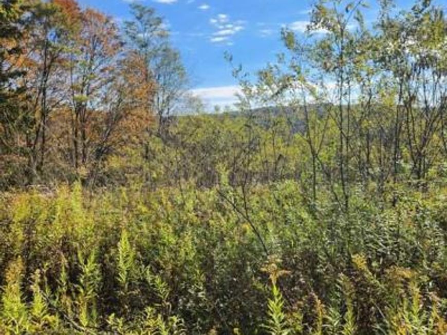 Lots C1-c4 Natures Symphony Road, Imler, PA 16655 Main Photo