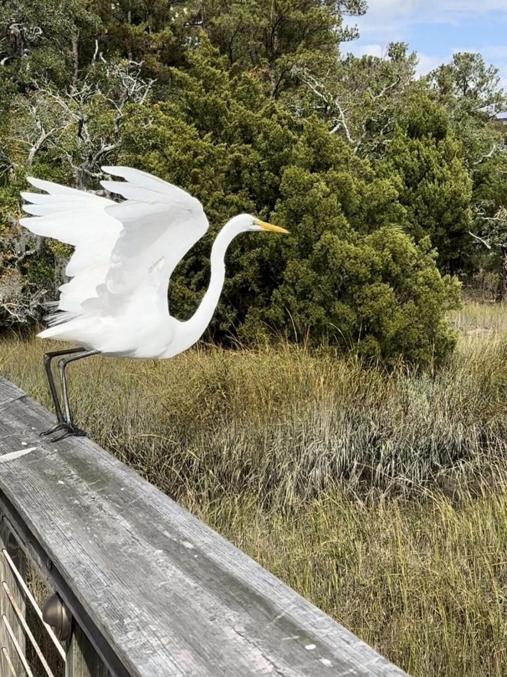 0 Harvest Time Place Photo 13