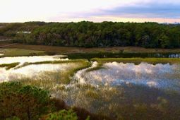 0 Harvest Time Place photo 4