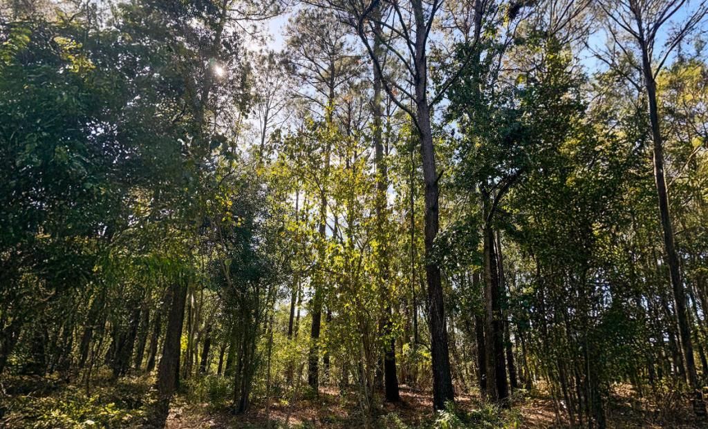 0 Harvest Time Place Photo 23