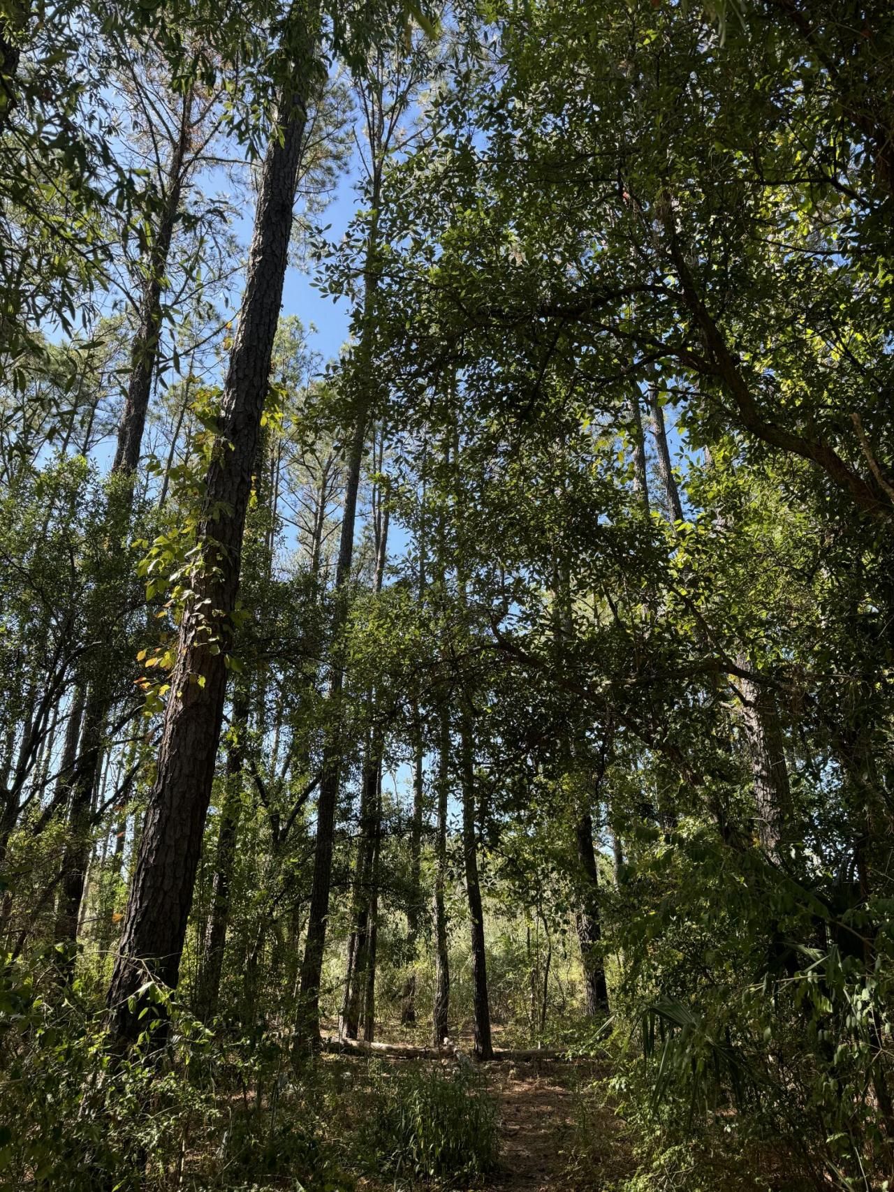 0 Harvest Time Place Photo 3