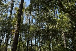 0 Harvest Time Place photo 4