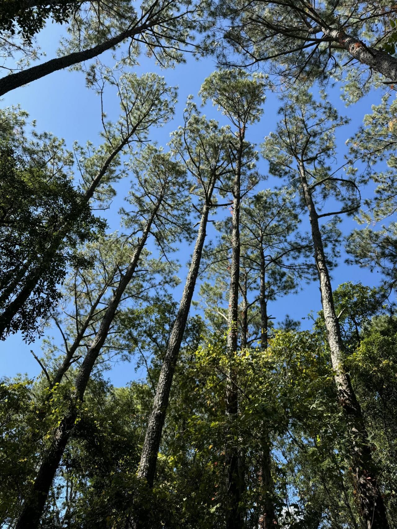 0 Harvest Time Place Photo 5