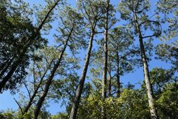 0 Harvest Time Place photo 4