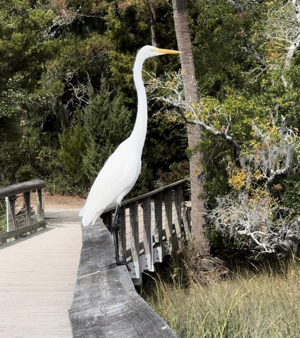 0 Harvest Time Place Photo 6