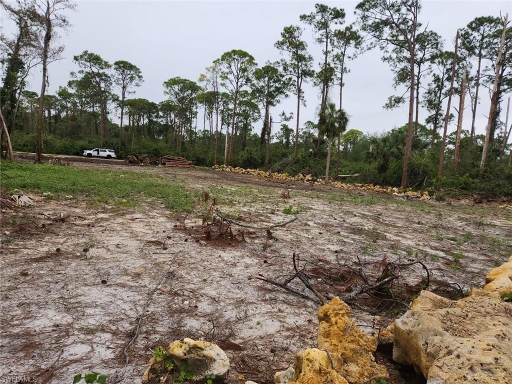 2004 Canton Ave, Alva, FL 33920 Photo