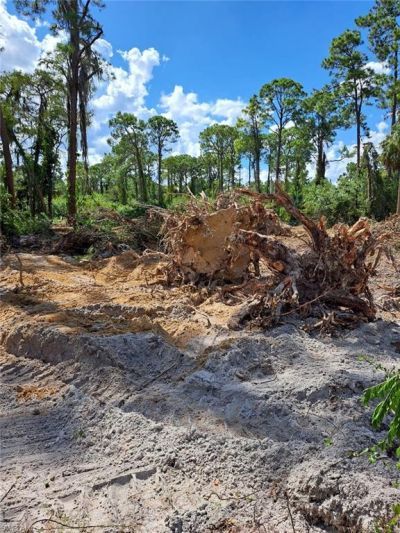 2004 Canton Ave, Alva, FL 33920 Photo