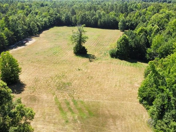 TBD Old Kings Road, Drakes Branch, VA 23937