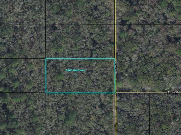0000 RUTH Avenue, Hastings, FL 32145