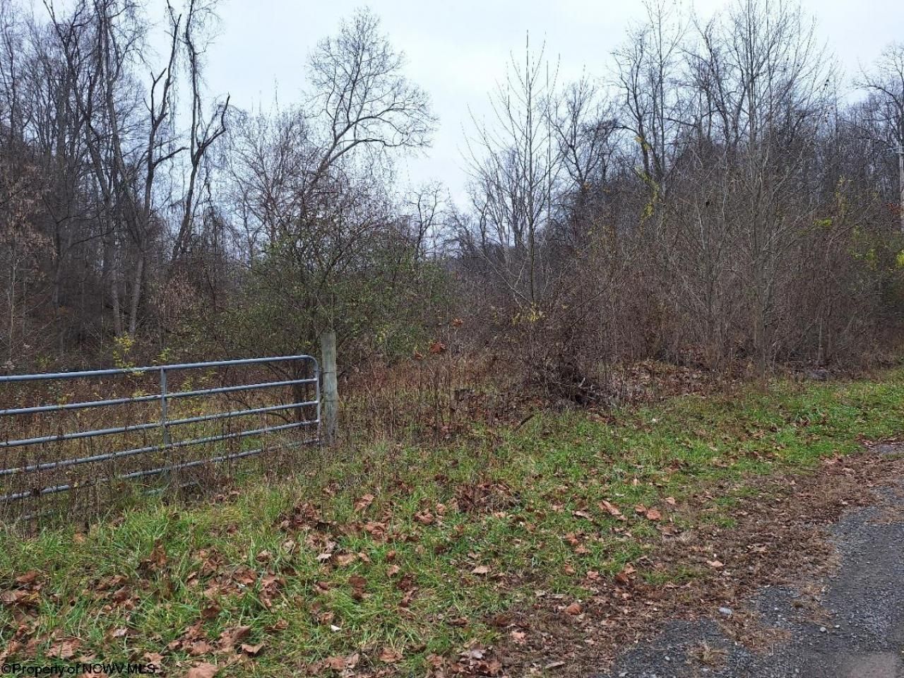 TBD Jack Run Road, Bridgeport, WV 26330