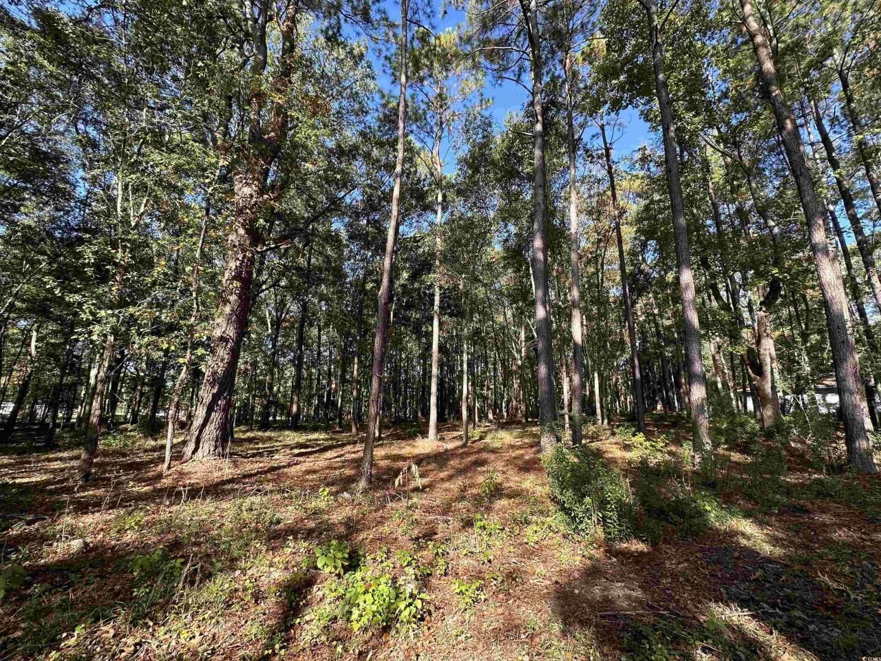 Tbd White Oak Dr. Photo 22