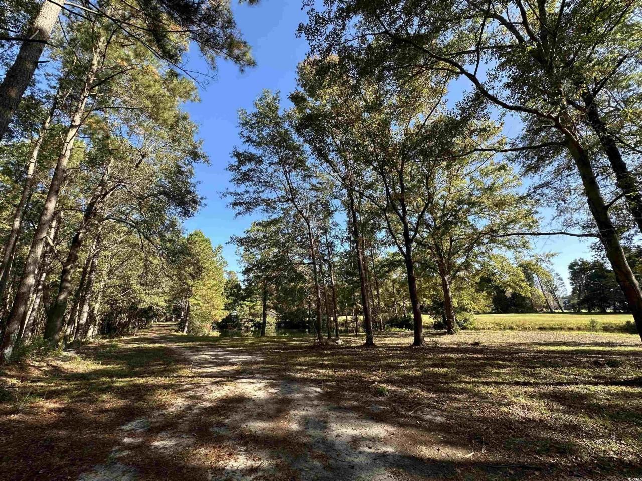 Tbd White Oak Dr. Photo 25