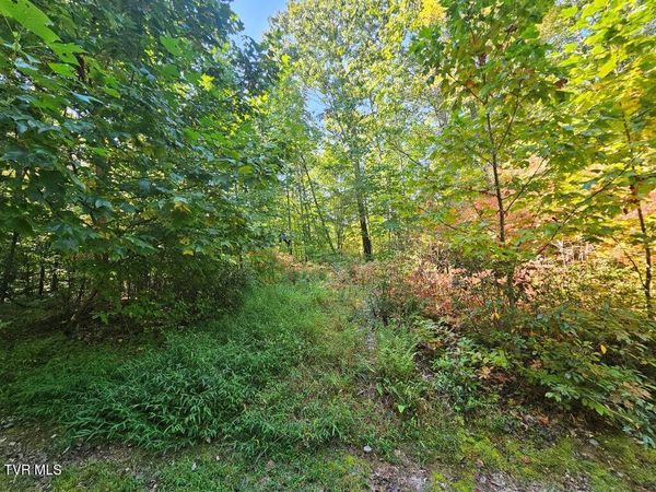 Lot 17 Fox Hollow Drive, Tazewell, VA 24630