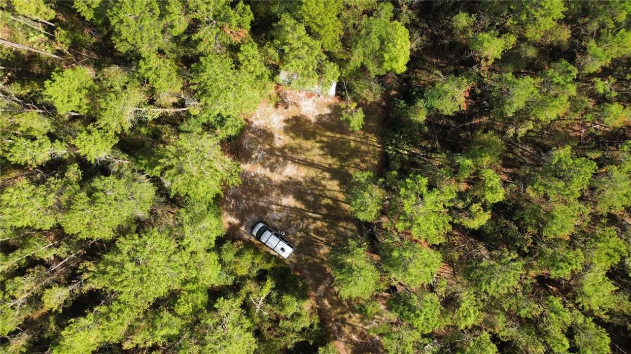 0 5th Street, Altoona, FL 32702 Photo