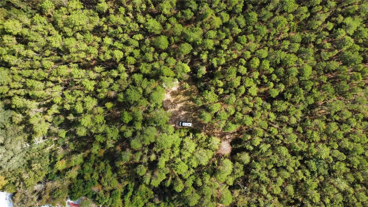 0 5th Street, Altoona, FL 32702 Photo