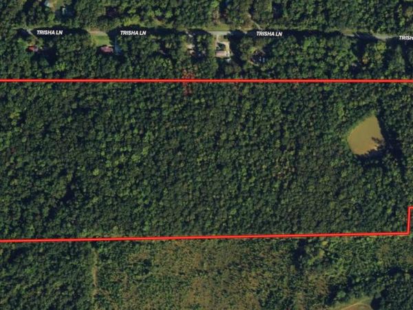 61.990 AC Mike Powers Road, Grantville, GA 30220