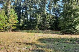 769 Main Road photo 4