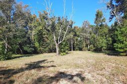 769 Main Road photo 4