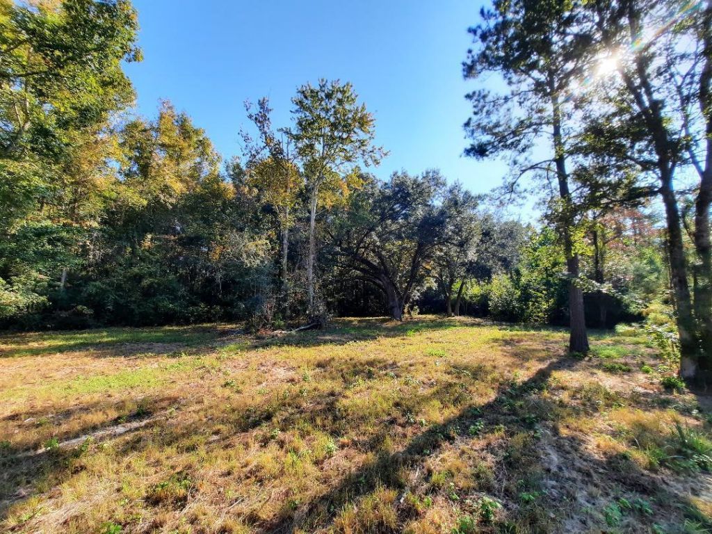 769 Main Road Photo 4