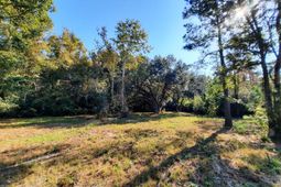 769 Main Road photo 4