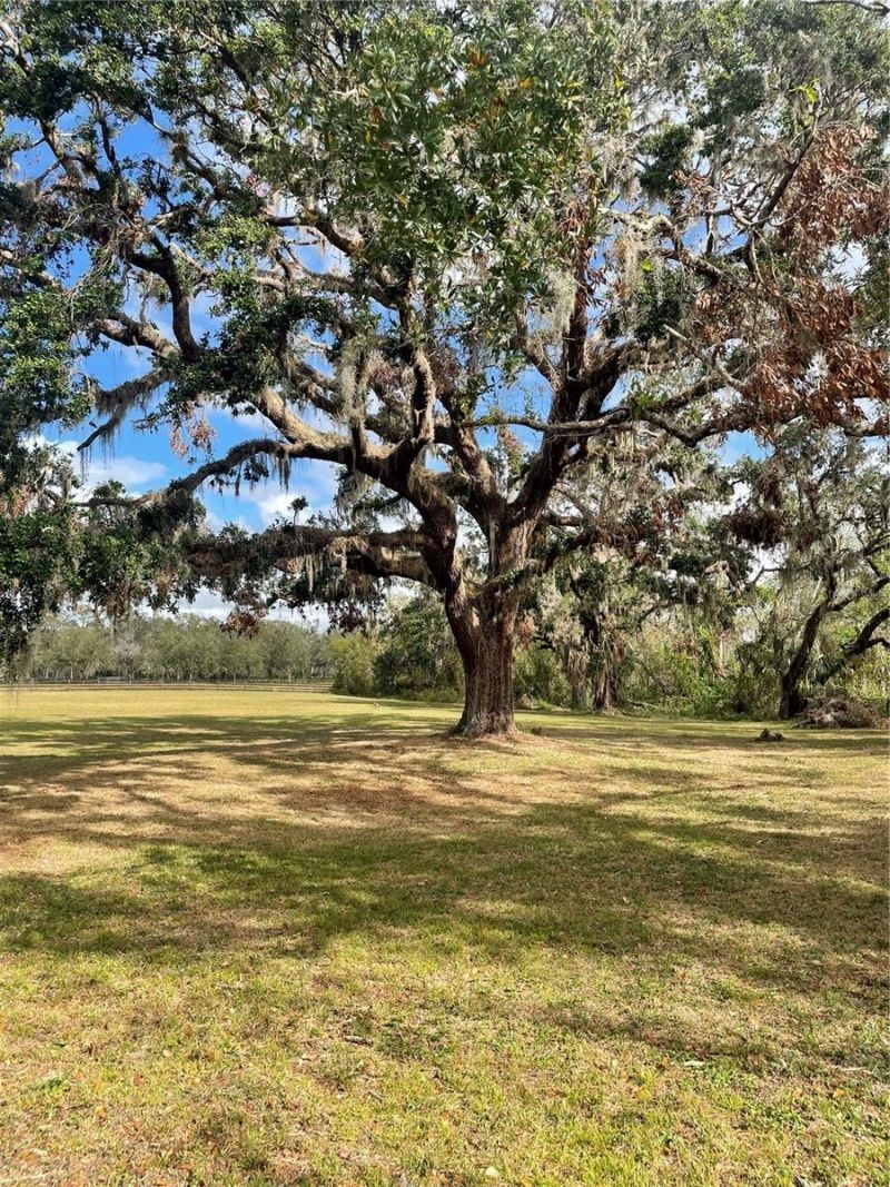 12355 Doris Road, Parrish, FL 34219 Photo