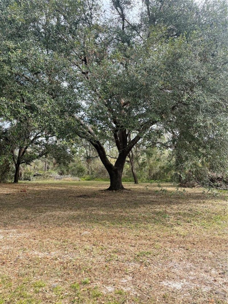 12355 Doris Road, Parrish, FL 34219 Photo