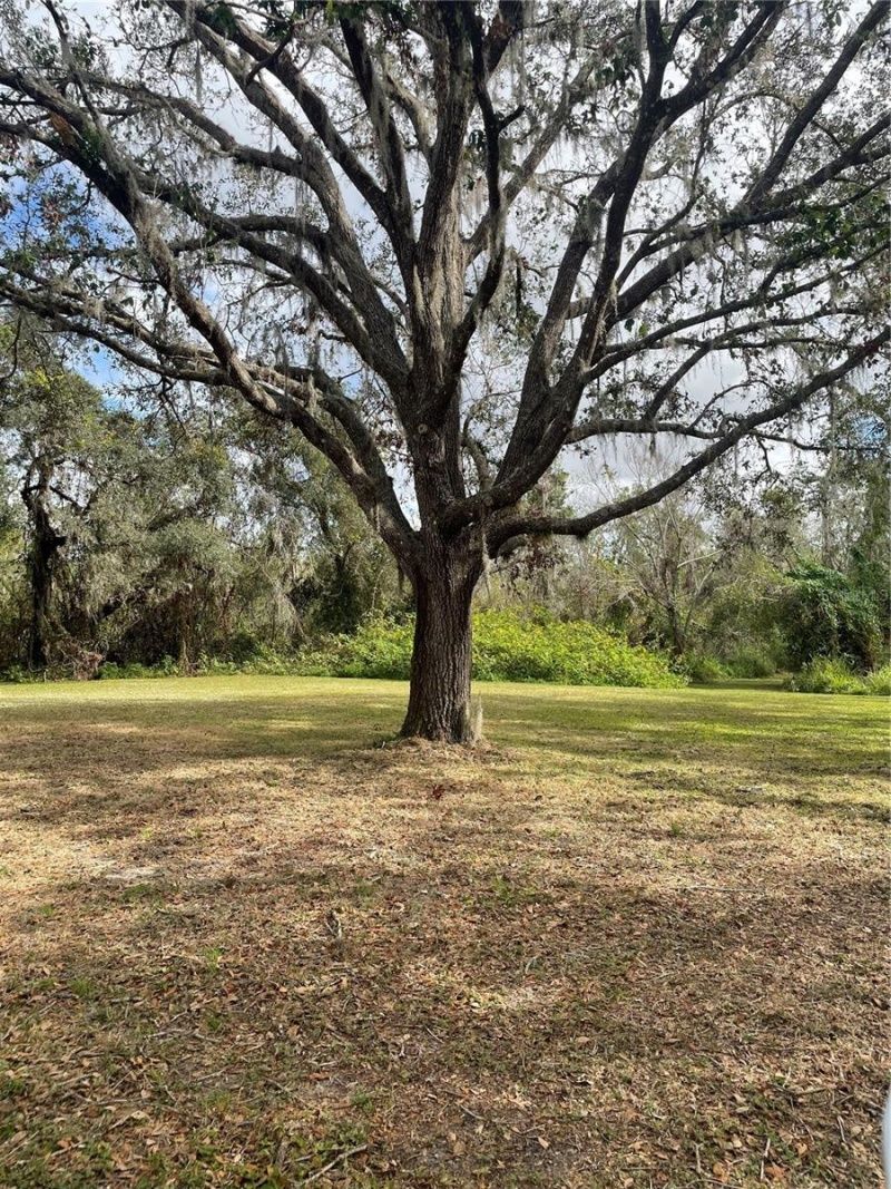 12355 Doris Road, Parrish, FL 34219 Photo