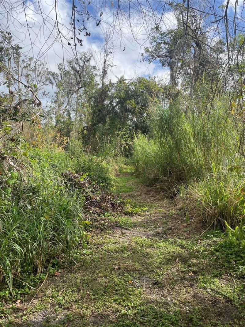 12355 Doris Road, Parrish, FL 34219 Photo