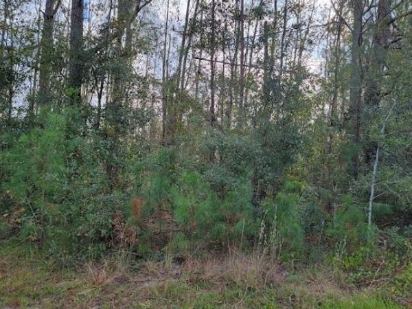 TBD NW 61ST COURT, Jennings, FL 32053