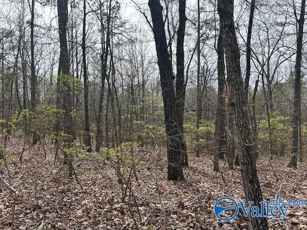 12 Peck Mountain Road, Eva, AL 35621