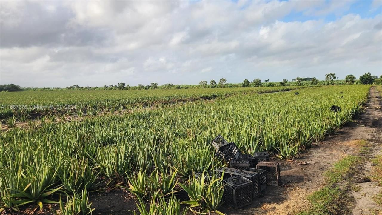 47430 State Rd #80, Palm Beach, FL 33440 Photo