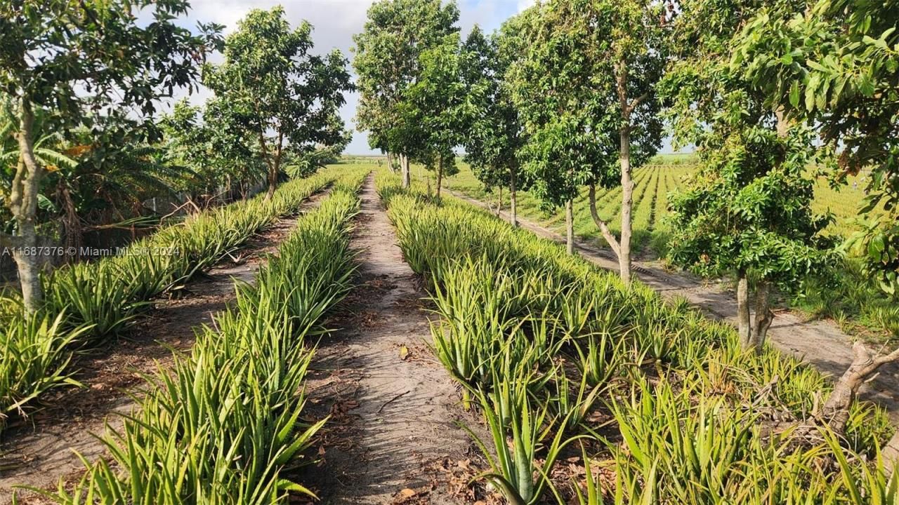 47430 State Rd #80, Palm Beach, FL 33440 Photo