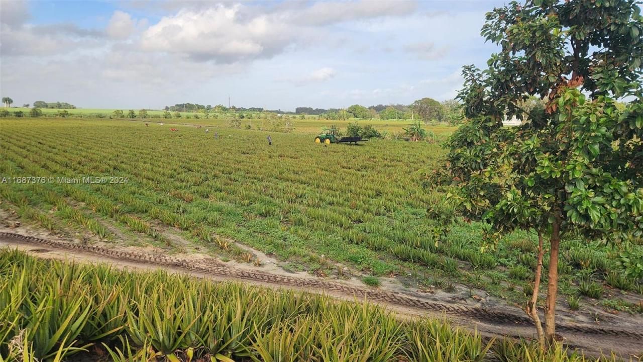 47430 State Rd #80, Palm Beach, FL 33440 Photo