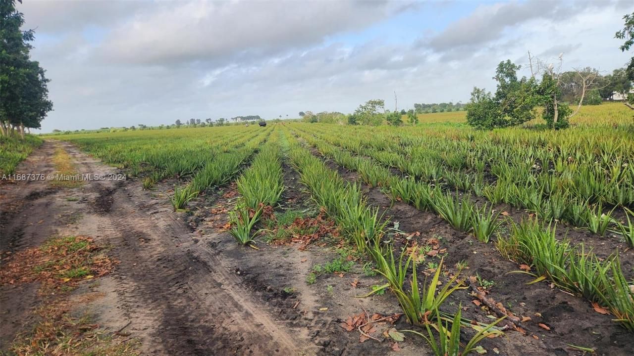 47430 State Rd #80, Palm Beach, FL 33440 Photo