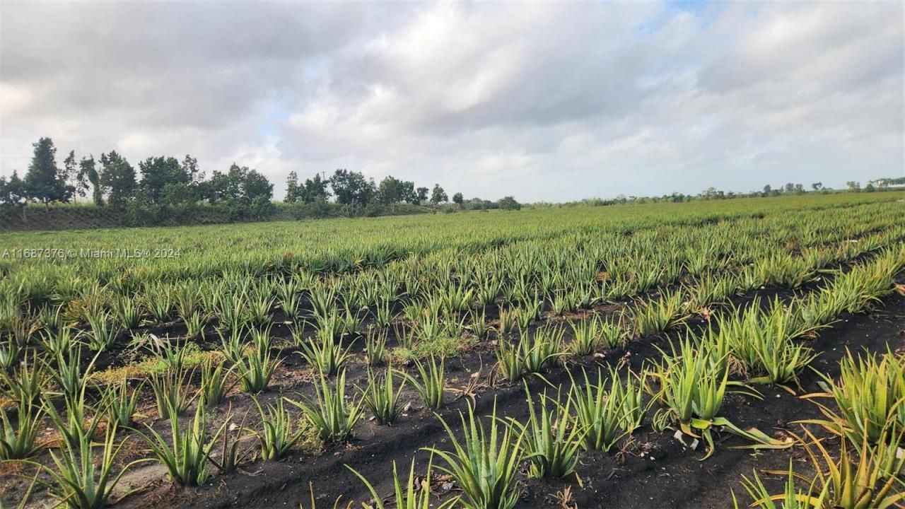 47430 State Rd #80, Palm Beach, FL 33440 Photo