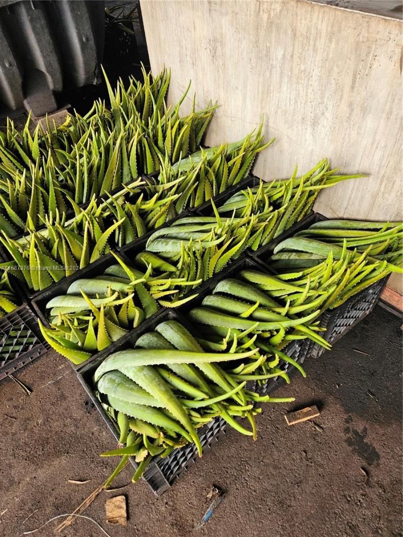 47430 State Rd #80, Palm Beach, FL 33440 Photo