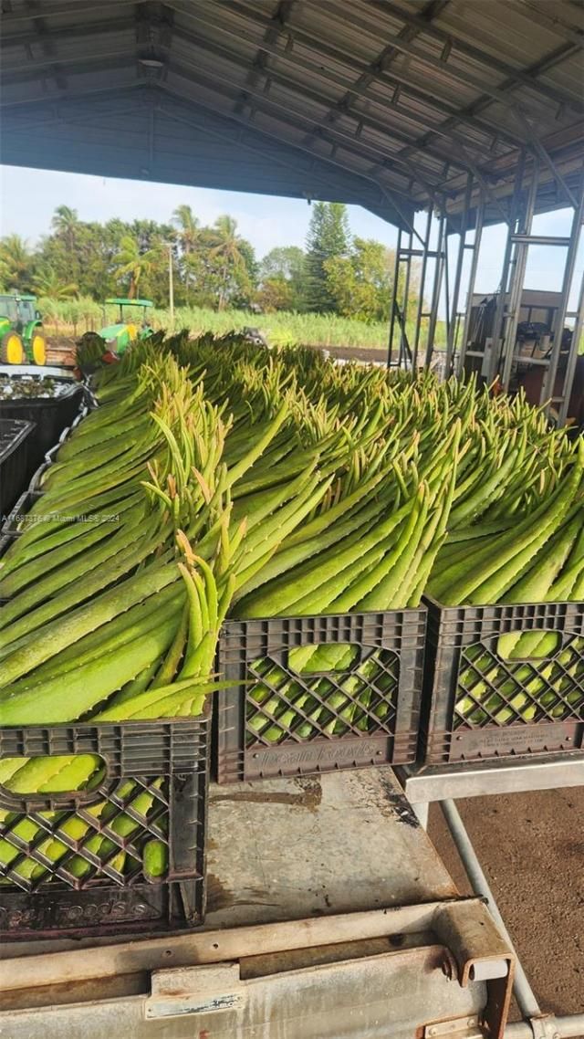 47430 State Rd #80, Palm Beach, FL 33440 Photo