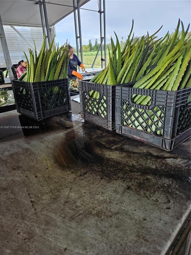 47430 State Rd #80, Palm Beach, FL 33440 Photo