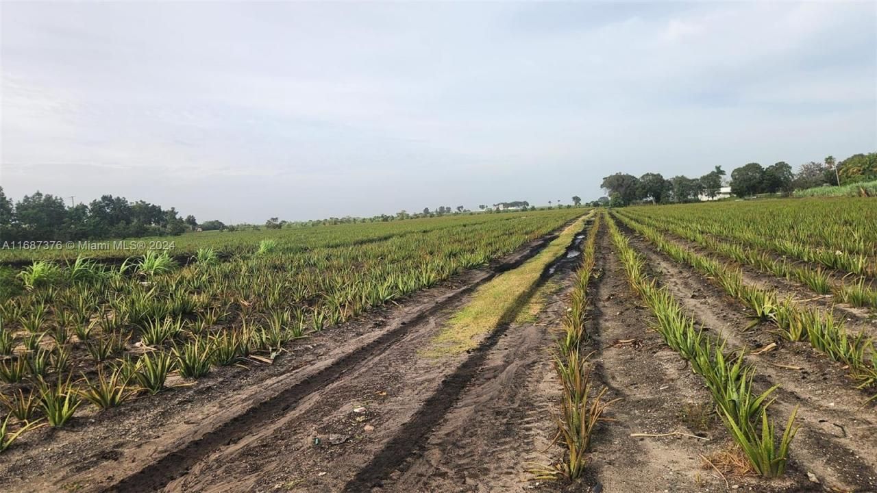 47430 State Rd #80, Palm Beach, FL 33440 Photo